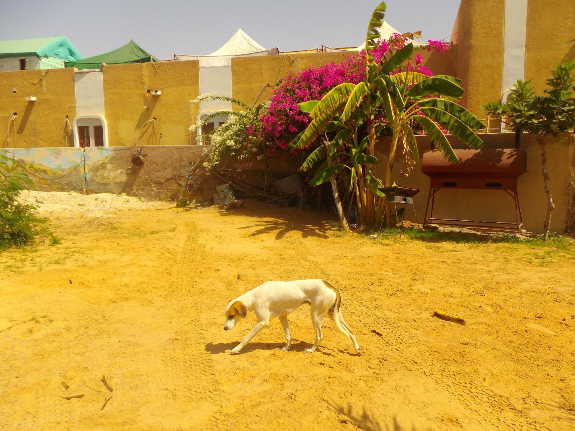 Auberge Triskell Nouakchott Bagian luar foto